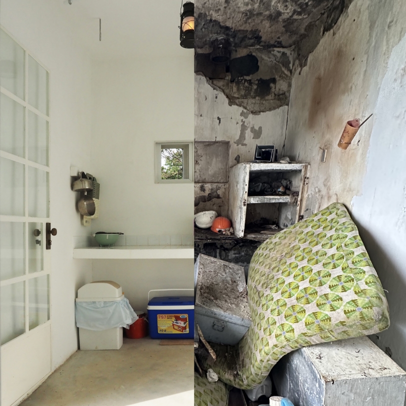 Conservation and Restoration